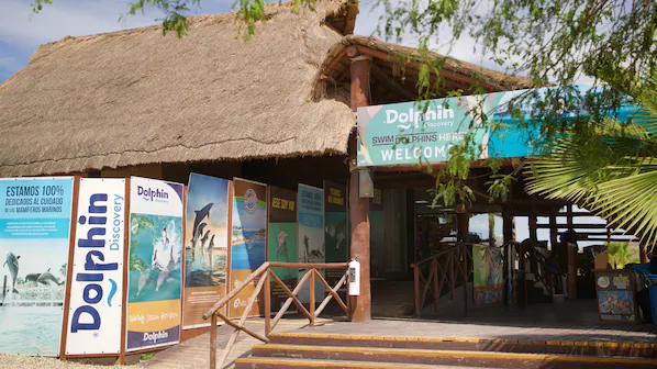 Dolphin Discovery Puerto Los Cabos near Secrets Puerto Los Cabos Golf & Spa Resort with interactive marine experiences