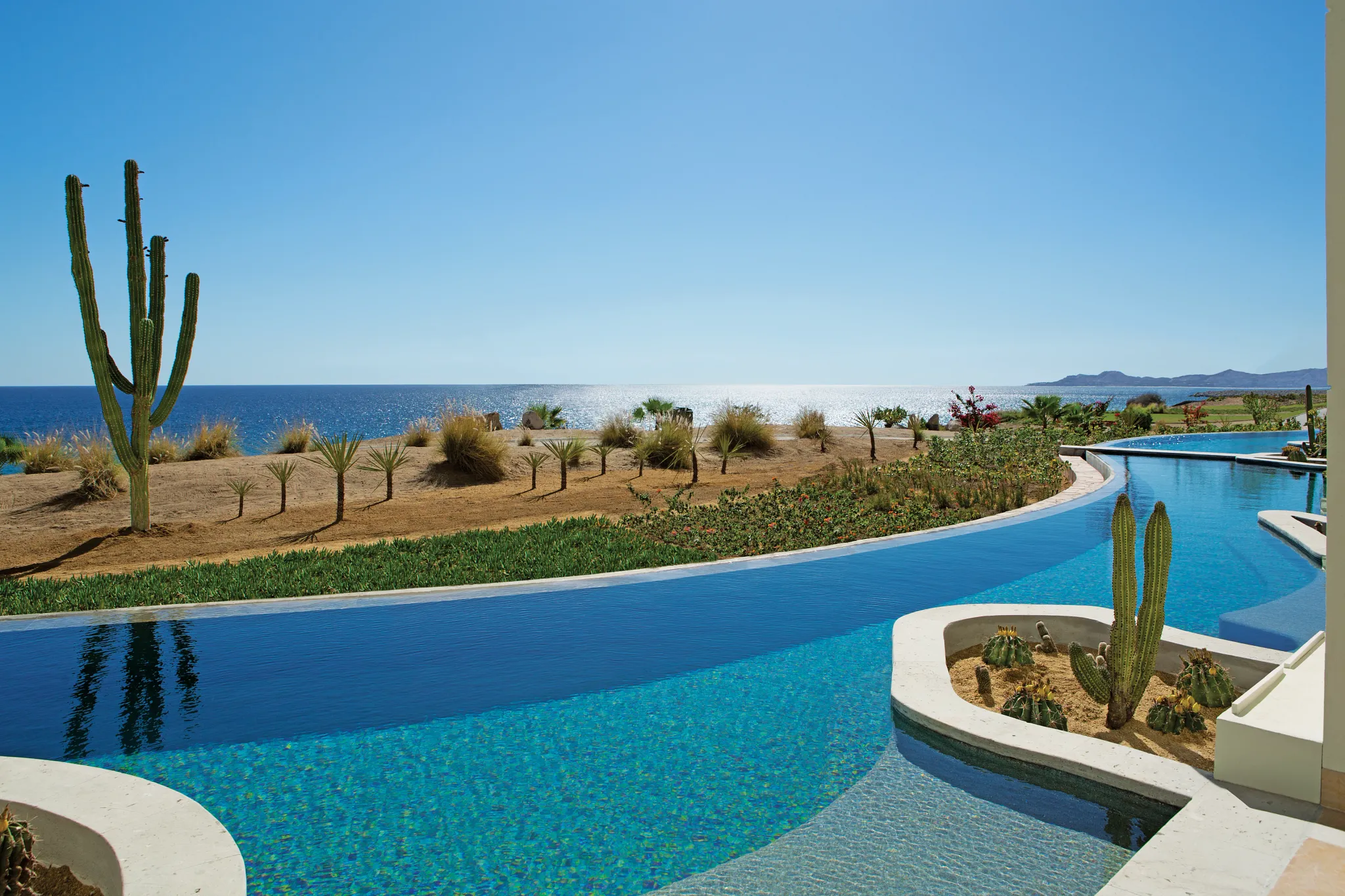 Oceanfront swim-out pool with desert landscaping at Secrets Puerto Los Cabos Golf & Spa Resort.