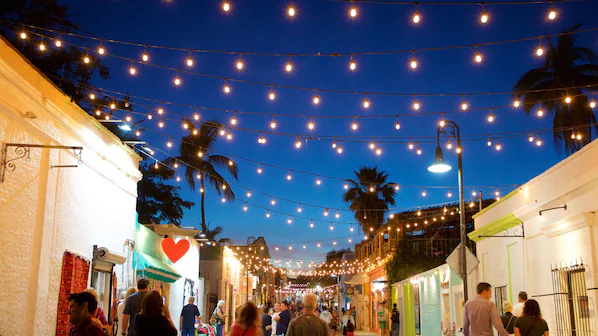 Dolphin Discovery Puerto Los Cabos near Secrets Puerto Los Cabos Golf & Spa Resort with interactive marine experiences